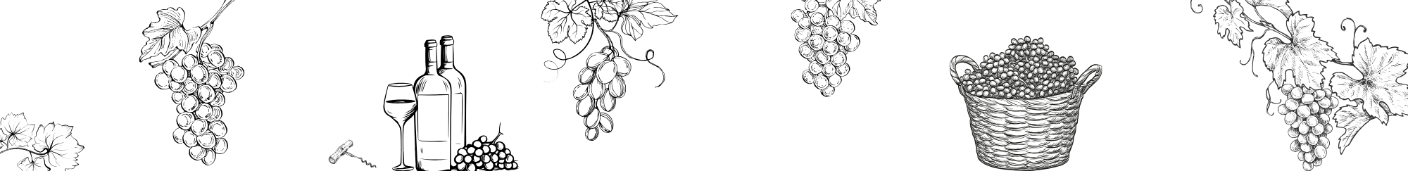 VII Praznici na grozdolechenieto - website border.png
