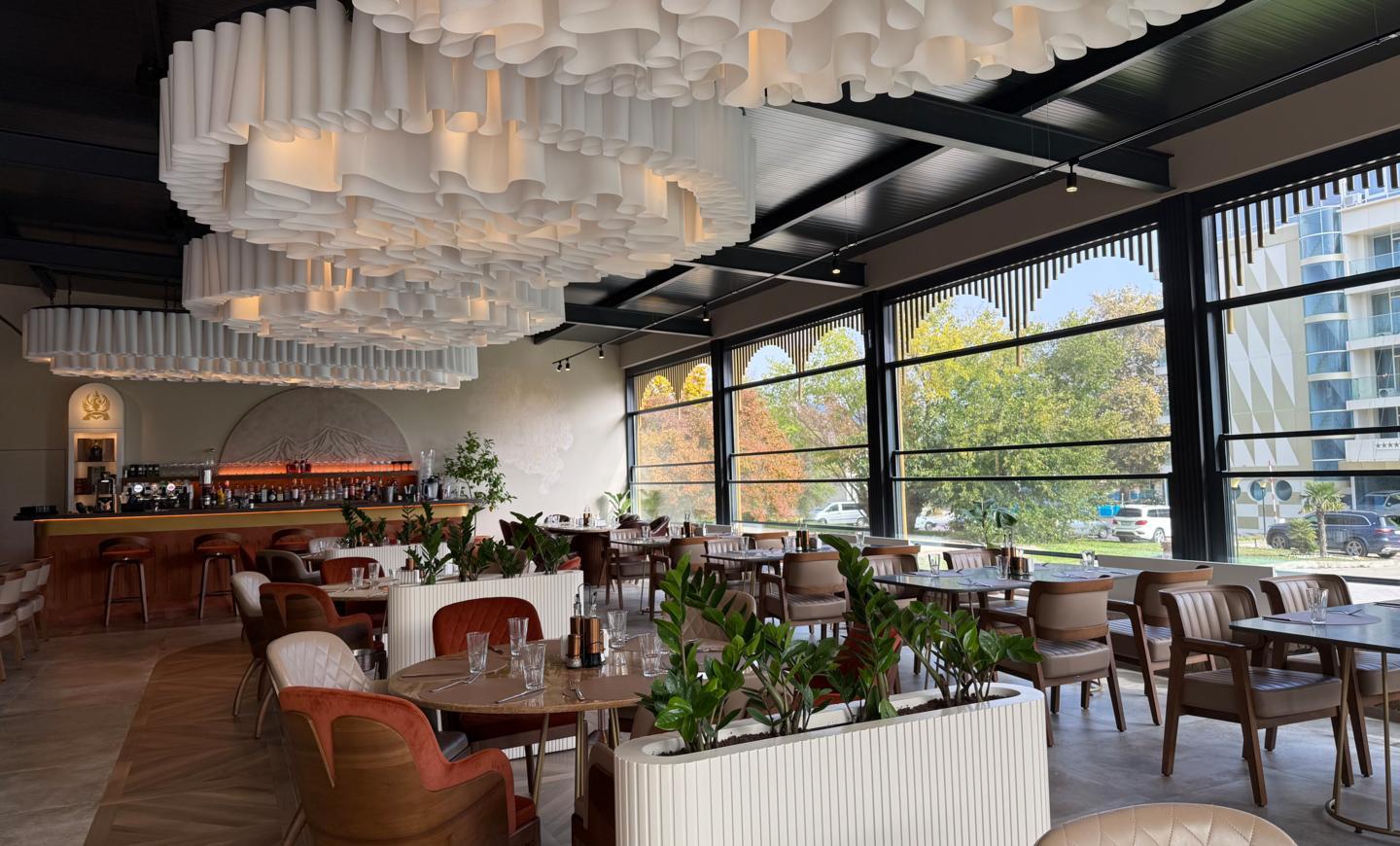 IMG_1204.jpg IMG_1204.jpg